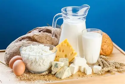 Dairy, Bread & Eggs