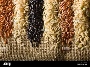 Rice & Grains